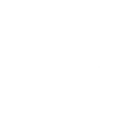 Denise Monteiro